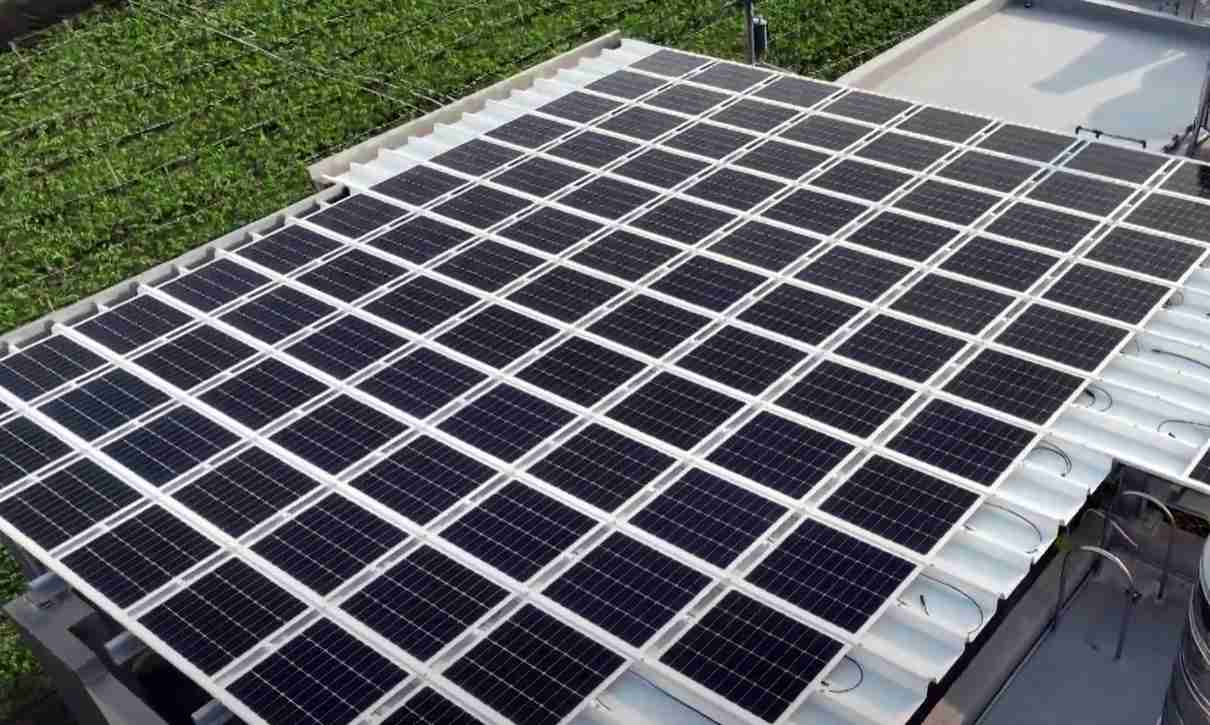 牛牛游戏SunSteel光电浪板升级双玻结构，，以提升机械负载强度及气候耐候度，，可广泛运用于多元场域