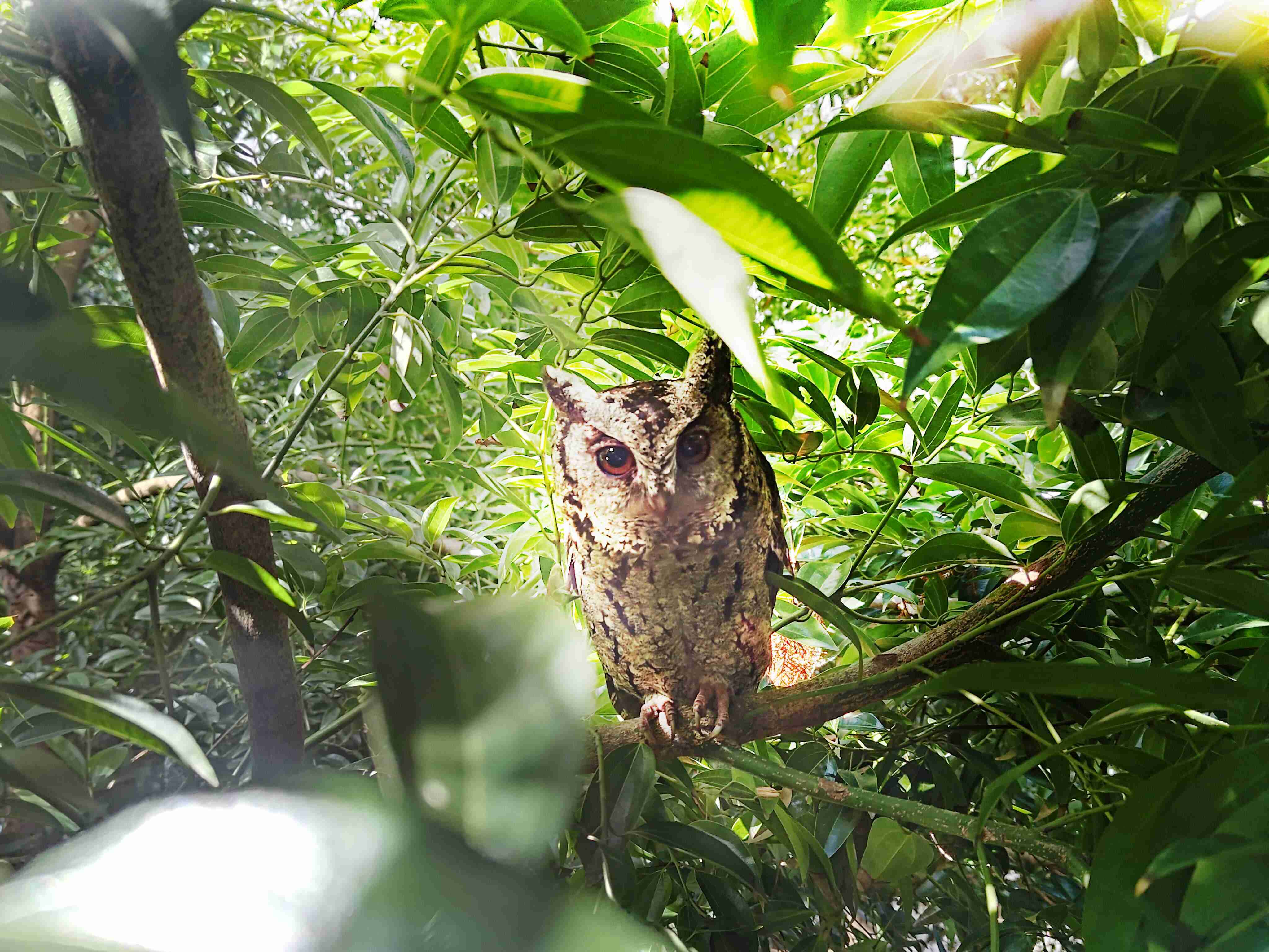 牛牛游戏致力提倡净零绿生活，，，，16年以来在全球各厂区植树逾百万棵，，，，造就各厂区树木蔚然成林，，，犹如森林工厂，，，，成为许多生物的栖息地